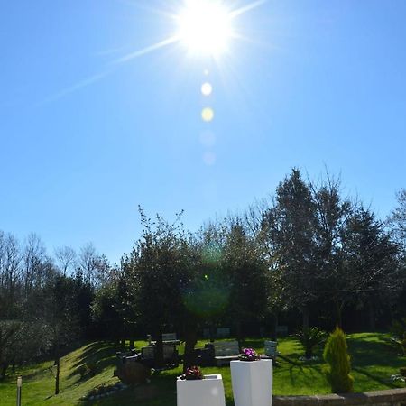 Tenuta Terra Tefra Βίλα Conca della Campania Εξωτερικό φωτογραφία